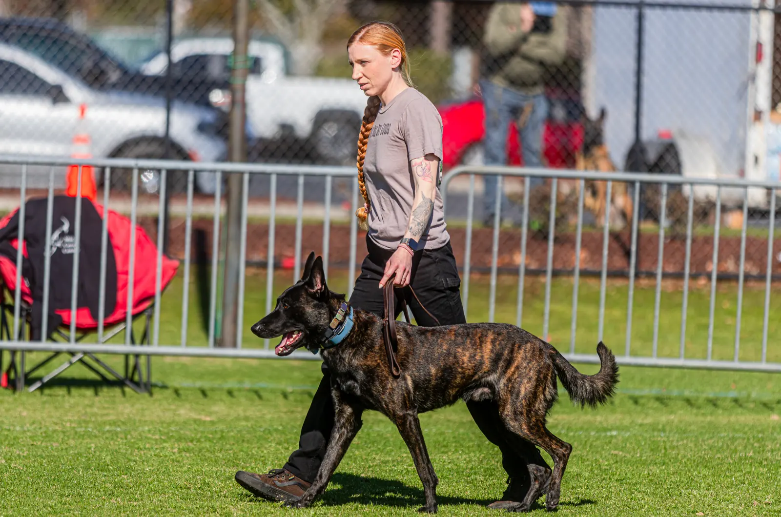 Basic obedience training at Georgia Doggy Dojo 3